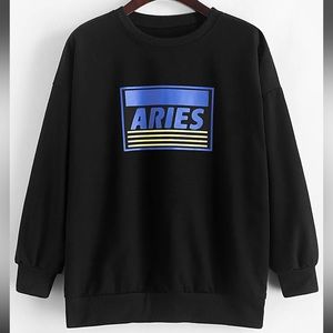 Zaful Aries Lightweight Long Sleeve Crewneck Sweater